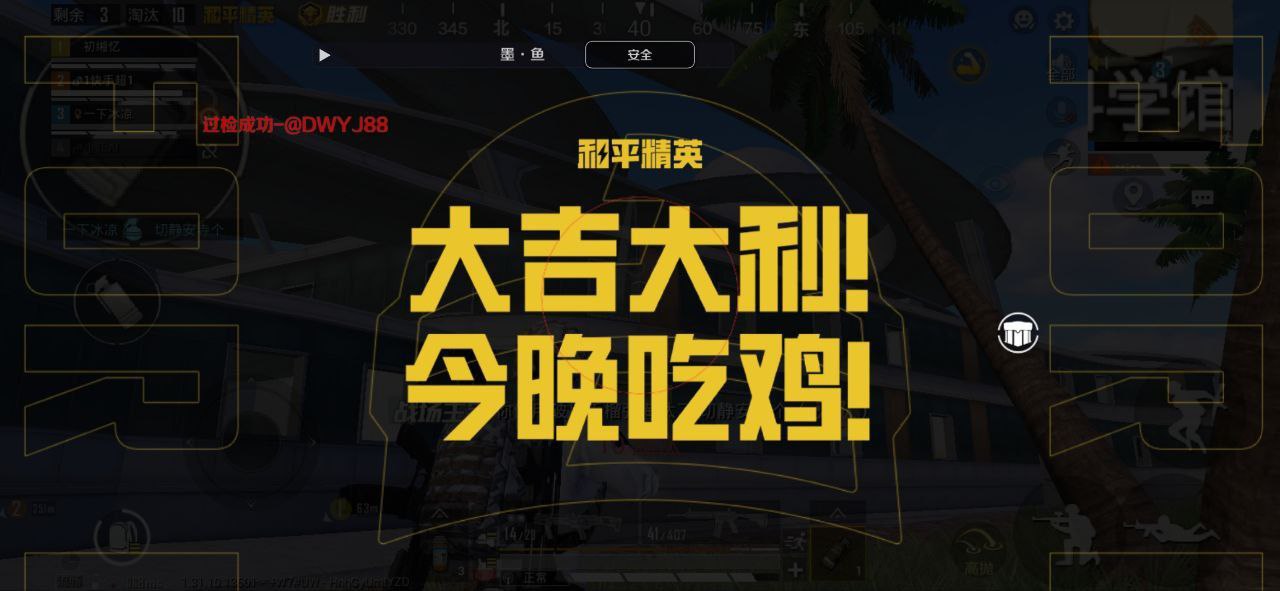 和平精英DDYS辅助